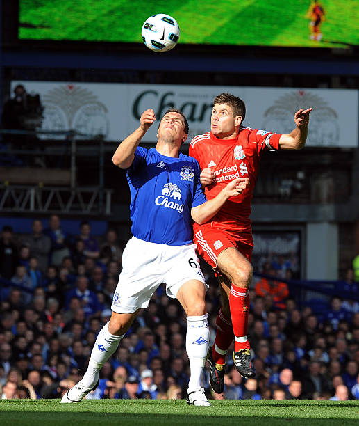 节尚未完全 节尚未完全