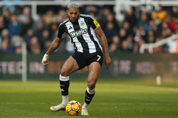 术灵活性和 术灵活性和